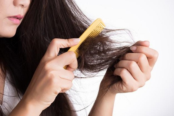 Ngăn ngừa rụng tóc bằng nguyên liệu tự nhiên
